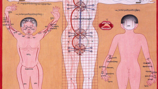 Chakras and energy channels