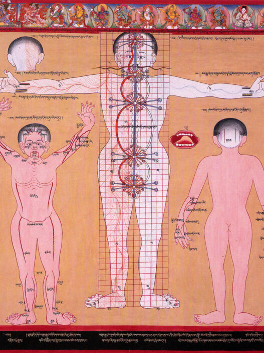 Chakras and energy channels