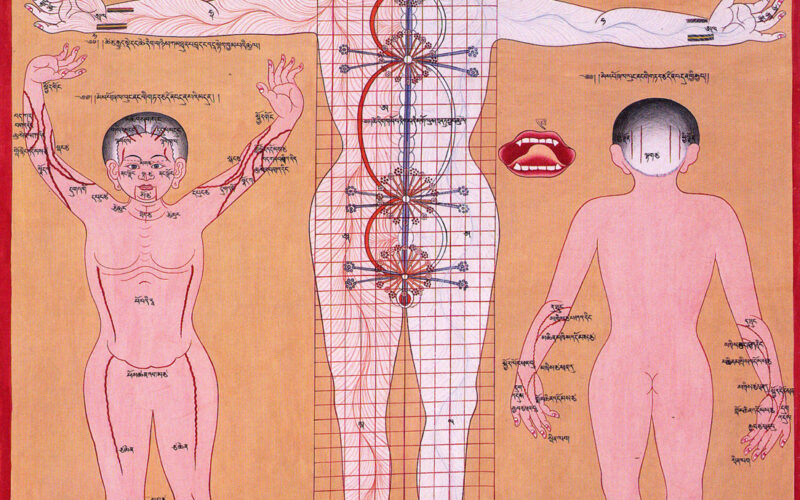 Chakras and energy channels