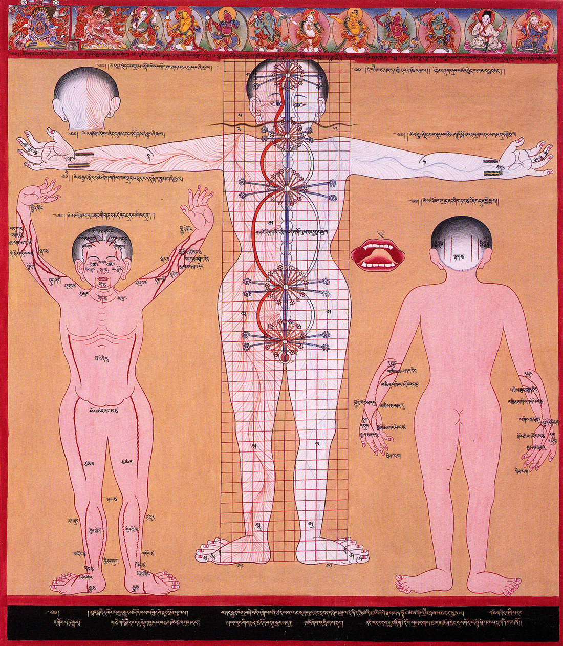 Chakras and energy channels