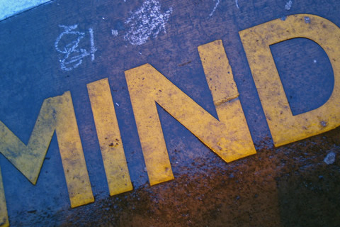 The Emptiness of the Mind (Mahamudra)